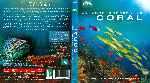 carátula bluray de La Gran Barrera De Coral - Bbc Earth