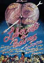 carátula carteles de Laberinto De Pasiones