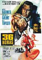 carátula carteles de 36 Horas