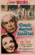 carátula carteles de Donde Mueren Las Palabras