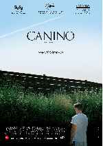 carátula carteles de Canino - V2