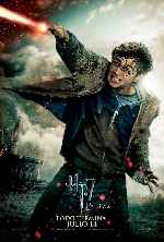 carátula carteles de Harry Potter Y Las Reliquias De La Muerte - Parte 2 - V05