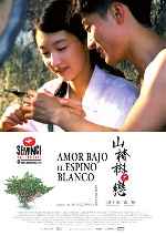 carátula carteles de Amor Bajo El Espino Blanco - V2