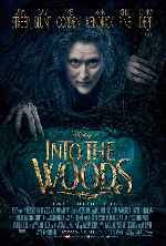 carátula carteles de Into The Woods