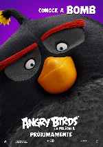 carátula carteles de Angry Birds - La Pelicula - V03