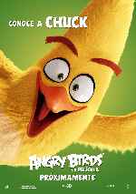 carátula carteles de Angry Birds - La Pelicula - V04