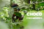carátula carteles de Choco - V4
