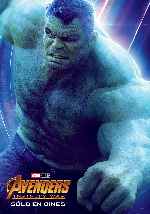 cartula carteles de Avengers - Infinity War - V06