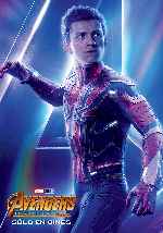cartula carteles de Avengers - Infinity War - V14
