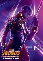 cartula carteles de Avengers - Infinity War - V17