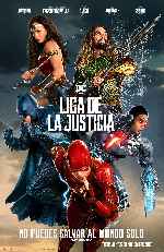 cartula carteles de Liga De La Justicia - 2017 - V11