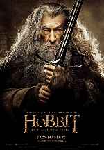 carátula carteles de El Hobbit - La Desolacion De Smaug - V14