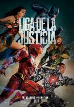 cartula carteles de Liga De La Justicia - 2017 - V17
