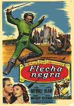 carátula carteles de Flecha Negra - V2