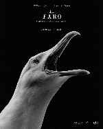 carátula carteles de El Faro - 2019 - V5