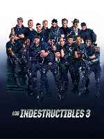 carátula carteles de Los Indestructibles 3 - V2