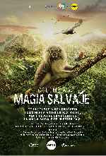 carátula carteles de Colombia - Magia Salvaje - V2