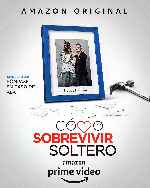 cartula carteles de Como Sobrevivir Soltero - V07
