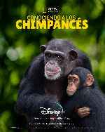 carátula carteles de National Geographic - Conociendo A Los Chimpances