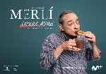 carátula carteles de Merli - Sapere Aude - V20