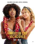 carátula carteles de Amigos De Las Vacaciones - V3