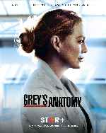 cartula carteles de Greys Anatomy - Temporada 17
