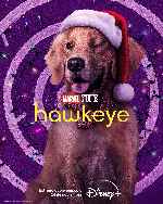 cartula carteles de Hawkeye - V06