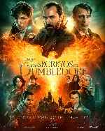 carátula carteles de Animales Fantasticos - Los Secretos De Dumbledore - V21