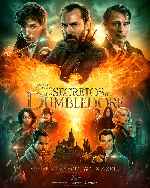 carátula carteles de Animales Fantasticos - Los Secretos De Dumbledore - V20