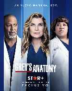 cartula carteles de Greys Anatomy - Temporada 18