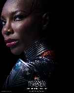 carátula carteles de Black Panther - Wakanda Forever - V13