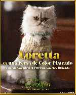 carátula carteles de Lilo Lilo Cocodrilo - V05