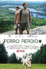 carátula carteles de Perro Perdido