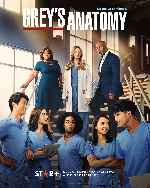 cartula carteles de Greys Anatomy - Temporada 19