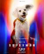 carátula carteles de Superman - 2025 - V07