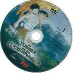 cartula cd de La Tumba De Las Luciernagas - Disco 01