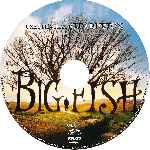 carátula cd de Big Fish - Custom