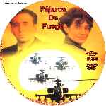 carátula cd de Pajaros De Fuego - Custom