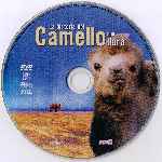 carátula cd de La Historia Del Camello Que Llora