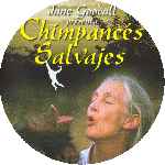 carátula cd de Imax - 14 - Chimpances Salvajes - Custom