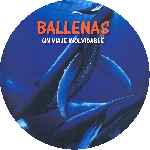 carátula cd de Imax - 13 Ballenas - Un Viaje Inolvidable - Custom