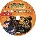 carátula cd de El Maravilloso Mundo De Los Animales - Volumen 09 - Los Leopardos - Custom