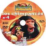 carátula cd de El Maravilloso Mundo De Los Animales - Volumen 04 - Los Chimpances - Custom