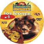 carátula cd de El Maravilloso Mundo De Los Animales - Volumen 01 - Los Leones - Custom