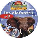 carátula cd de El Maravilloso Mundo De Los Animales - Volumen 03 - Los Elefantes - Custom