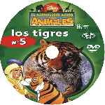carátula cd de El Maravilloso Mundo De Los Animales - Volumen 05 - Los Tigres - Custom