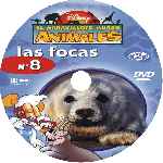 carátula cd de El Maravilloso Mundo De Los Animales - Volumen 08 - Las Focas - Custom