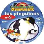 carátula cd de El Maravilloso Mundo De Los Animales - Volumen 06 - Los Pinguinos - Custom