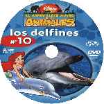 carátula cd de El Maravilloso Mundo De Los Animales - Volumen 10 - Los Delfines - Custom