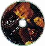 carátula cd de Camino Hacia La Gloria